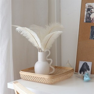 WULIHOME 羽毛花瓶干花插花梦幻少女粉色香槟色房间布置店铺陈列