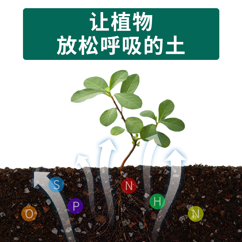 营养土养花专用通用多肉营养土家用种菜土壤花卉盆栽养花有机花土