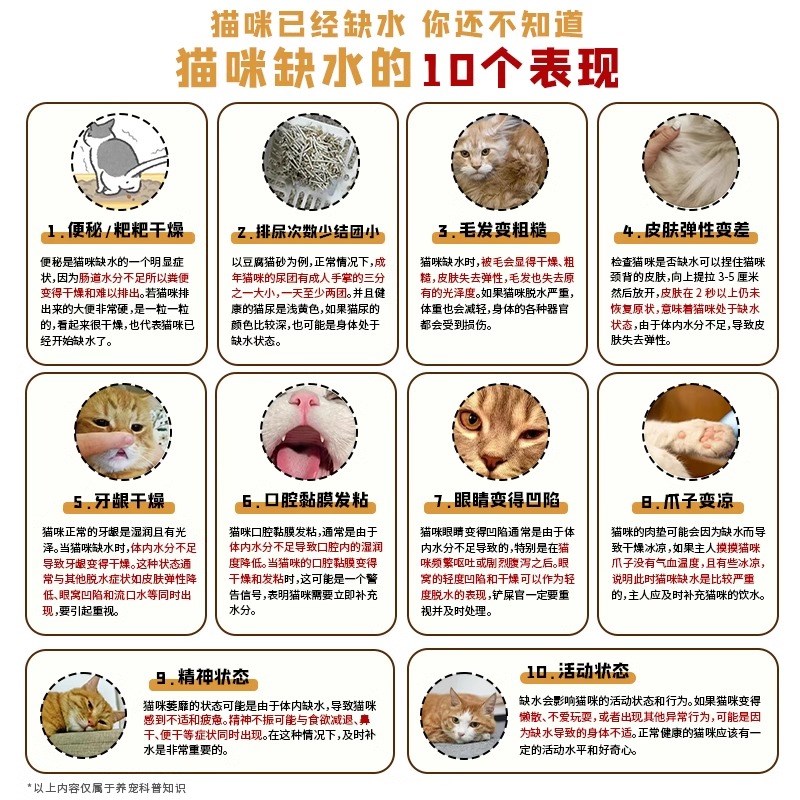 k9猫罐头营养补水增肥发腮无谷鱼肉成猫幼猫专用湿粮猫咪零食猫罐