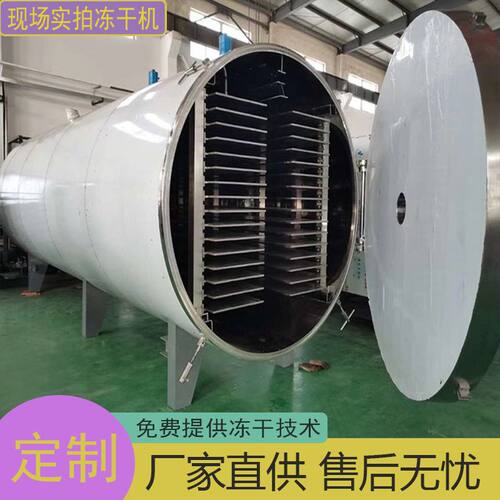 蜂蜜柠檬冻干机 综合果蔬粉真空冷冻干燥机 柚子茶真空冻干机
