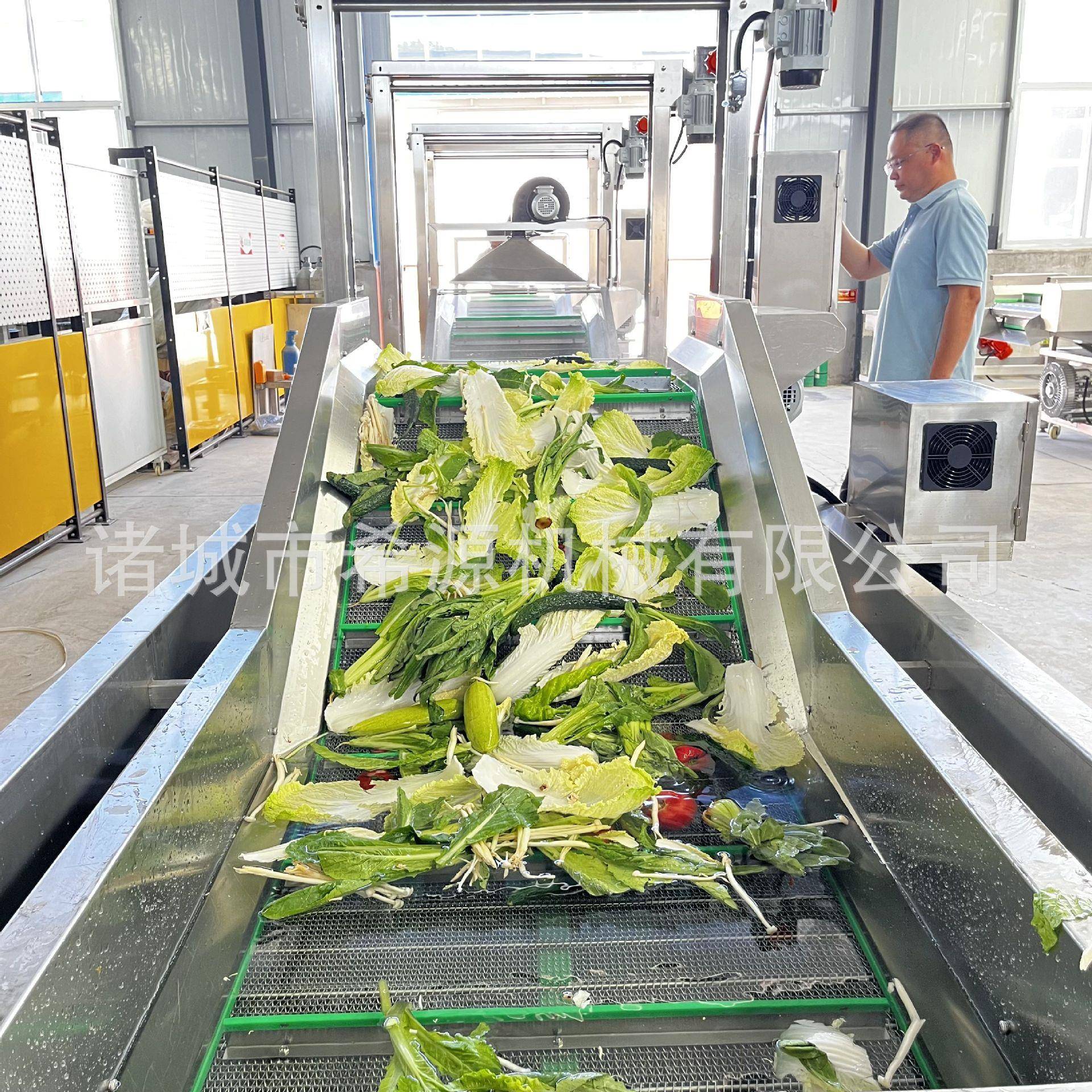 全自动蓝莓鼓泡清洗机草莓气泡清洗设备新型蔓越莓喷淋清洗机