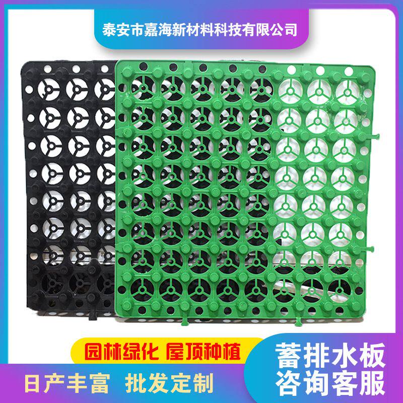 PP塑料蓄水板楼顶种植双面排水板滤水疏水板凹凸型蓄排水板厂家