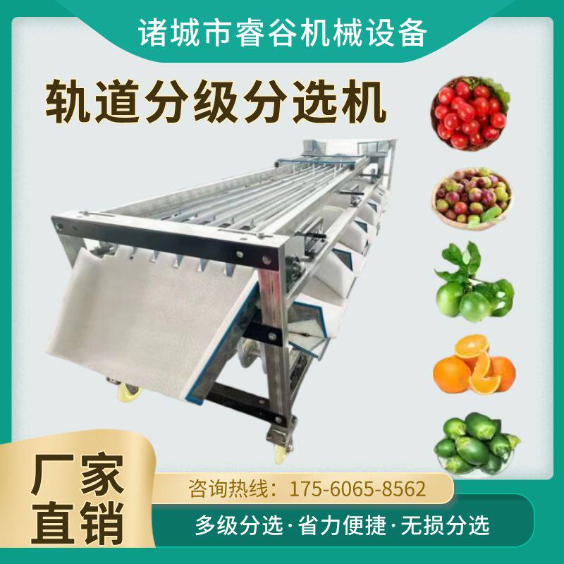 大蒜血橙5级分级机 橘子选果机洋葱筛选机 轨道式油桃水果分选机