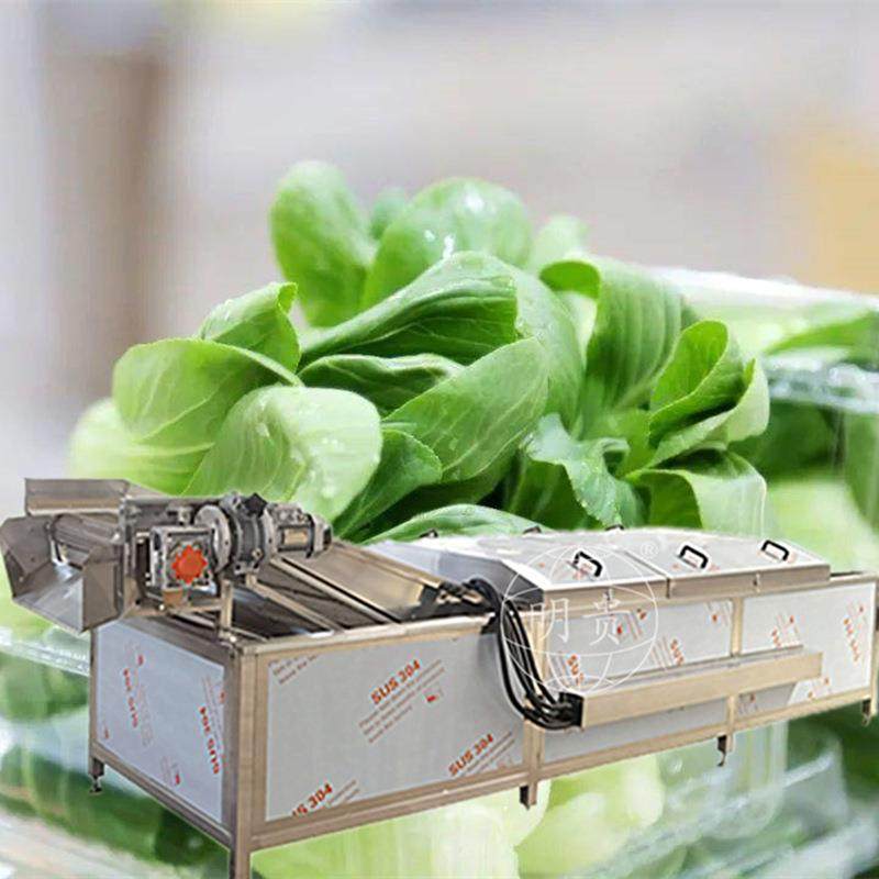 牌 蔬菜漂烫流水线 自动化果蔬杀青机 山野菜预煮生产线,清洗/食品/商业设备,肉制品加工设备,淘宝优惠券,粉丝福利购,淘宝优惠卷