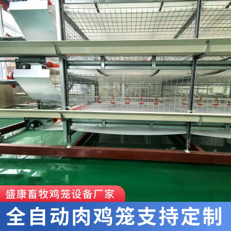 鸡笼多层叠式肉鸡笼整套全自动养殖设备自动喂料机传粪肉鸡笼子