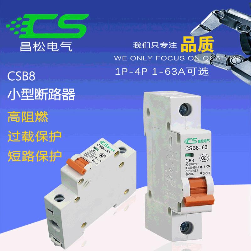 家用空气开关配电箱 入户箱微型小型断路器CSB8-63 1P 6-63A MCB