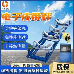 矿用电子皮带秤 17J矿用隔爆兼本安型电子皮带秤 数字滤波ICS