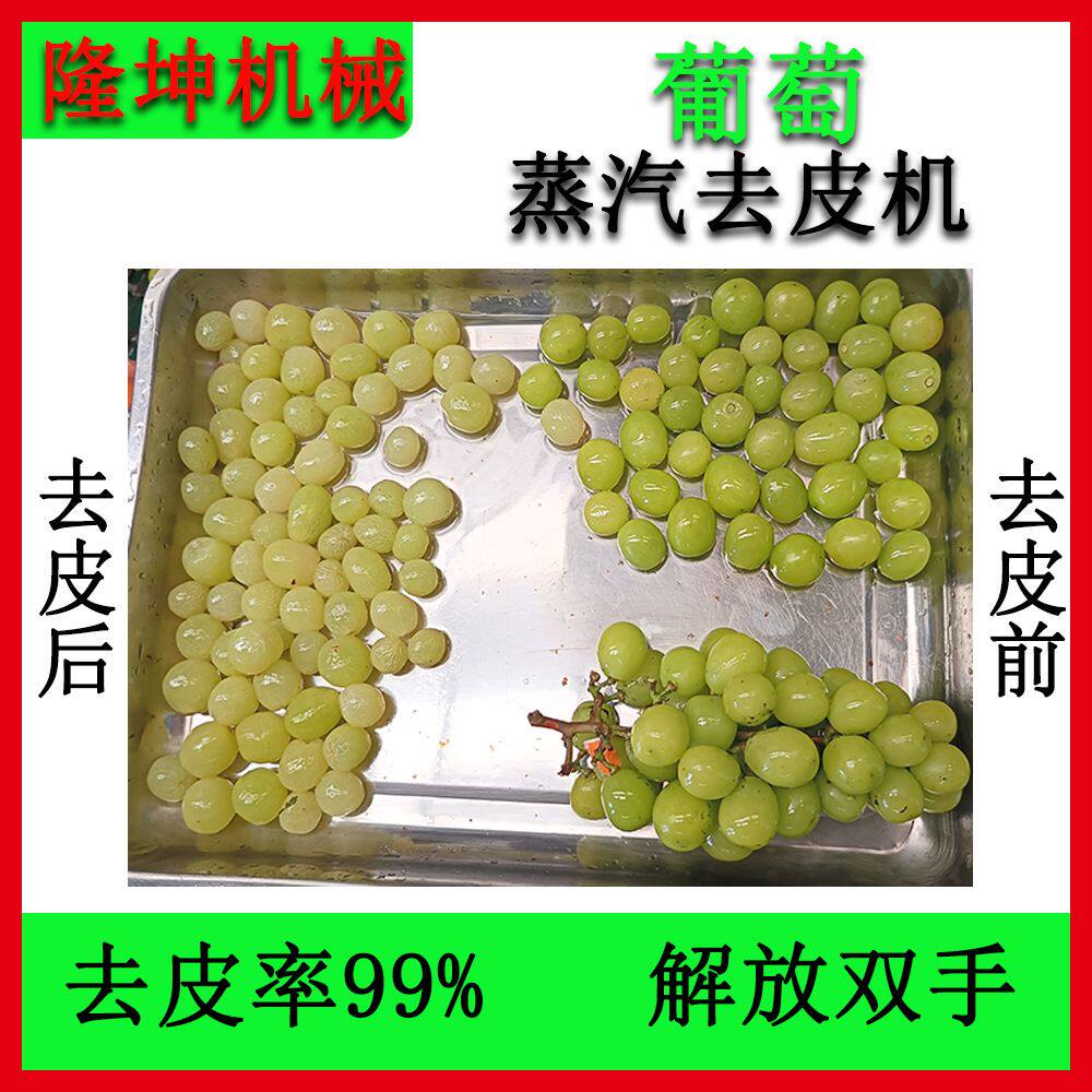 可定制全自动蒸汽去皮机 葡萄马铃薯脱皮机 农产品深加工去皮设备