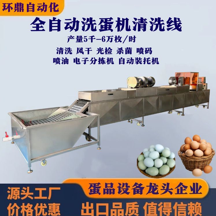 大型全自动四排洗蛋机 脏蛋保洁蛋 鸡蛋鸭蛋鹅蛋清洗设备工厂