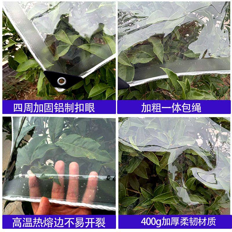 厂家 加厚透明遮雨布大棚保温塑料防寒 布阳台透光防尘防雨布