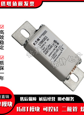 170M1812 170M1813 170M1824 170M1825巴斯曼熔断器现货170N1826