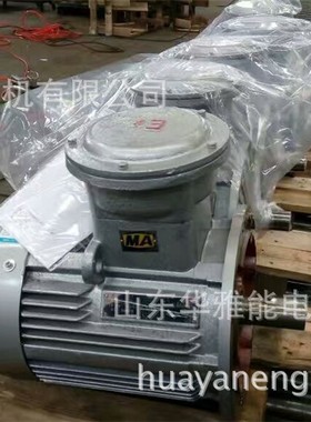 YDS100L-6-1.5电机替代文宝电机低速电机防护等级IP55  IP66