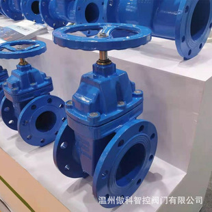 铸钢软密封暗杆 Z41X Z45X 16C 明杆闸阀 10C