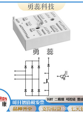 二极管   SKKD40F10   SKKD42F04  SKKD42F06
