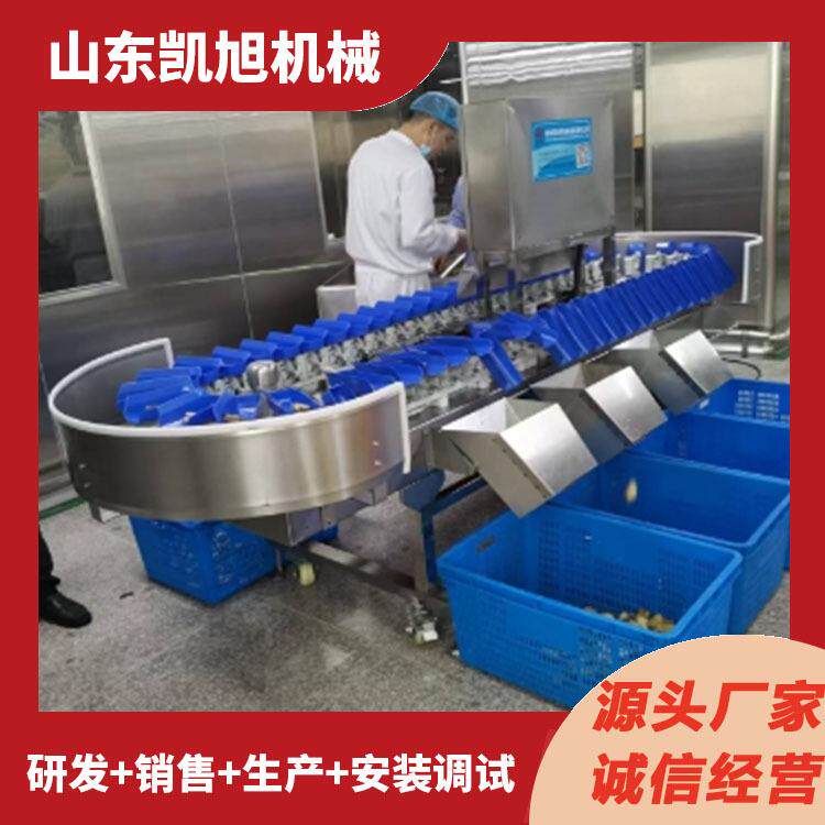 奶枣重量分选设备水果重量筛选机圆形果蔬自动筛果机器凯旭