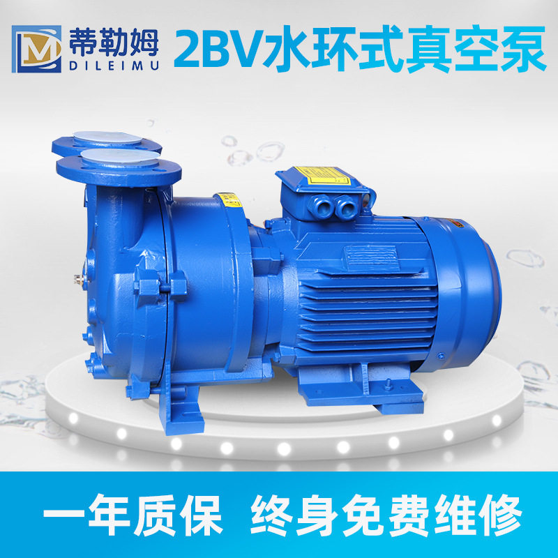 2BV5111水环式真空泵工业液压循环泵大型高真空抽气负压泵压缩机