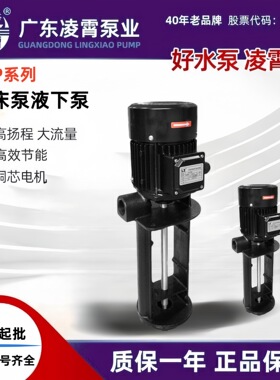 广东凌霄LCP系立式水泵高压数控机床泵浸入式多级离心泵心冷却泵