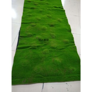 仿真青苔草皮永生苔藓植物墙景观软装背景橱窗展示庭院装饰