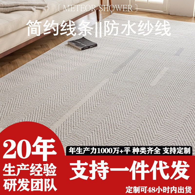 地毯客厅2025新款免洗可擦卧室轻奢高级沙发茶几免打理防水厚地垫