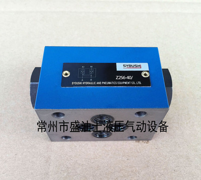 SYOUSHI液压液控单向阀Z2S6-40B Z2S6B-40B现货保压阀质保一年
