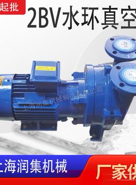 2BV-2060-2061-5110-5111-5121-5131-5161铸铁不锈钢水环式真空泵