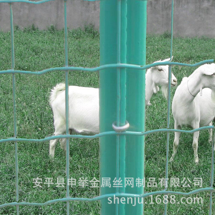 养殖专用网、批发荷兰网、圈地网，铁丝草原防护