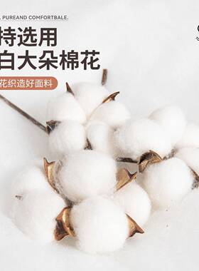 A类加纯棉磨毛床0hanchen0笠单件10全棉秋冬床罩床套床垫保护罩20