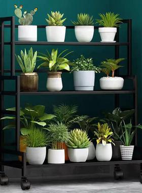 阶花架阳台置物架梯式多层PE212植物肉花盆多架铁托艺花架子客厅