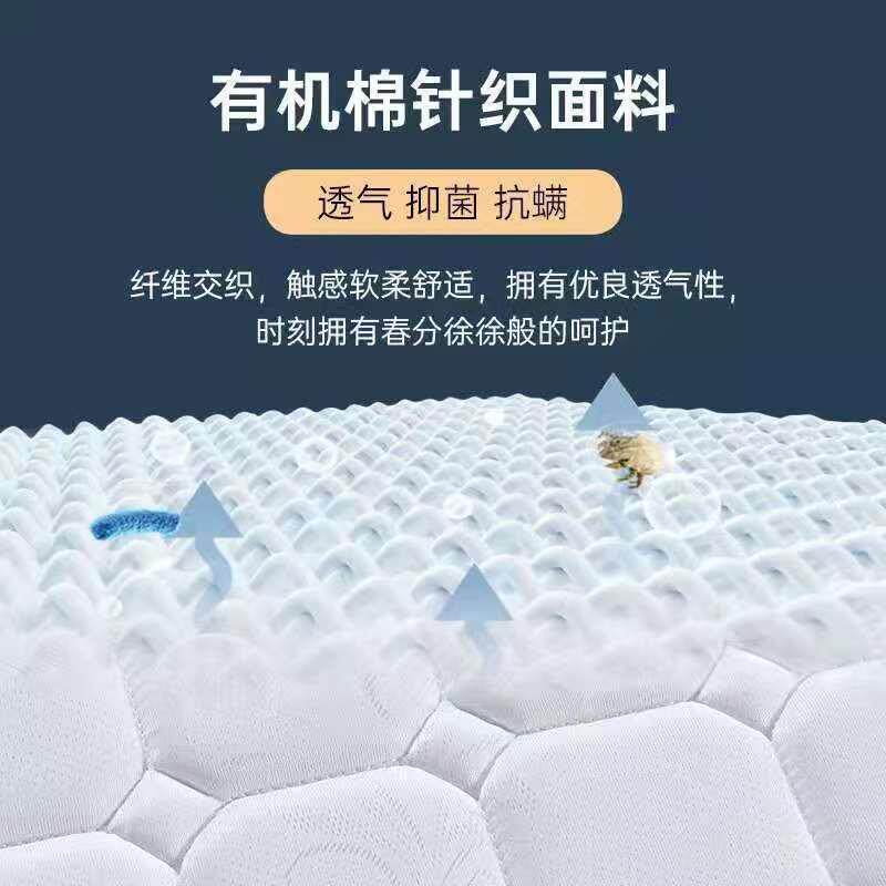 垫夏季椰棕床垫棕1垫8m床.垫硬薄款租房专用953儿童棕榈凉适老床