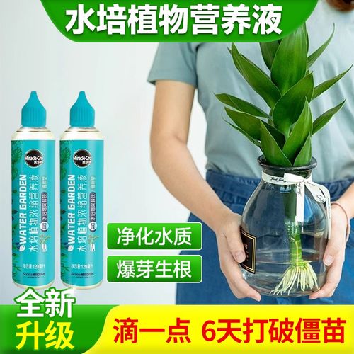 速发植水培植物营养贵通用型富液竹室内水养花卉绿棵专用肥料家用