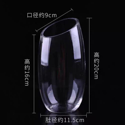 多肉玻璃水培植物花瓶透明景观y鱼缸斜口绿萝水培花盆水培器皿桌