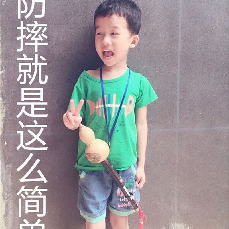 云南葫芦丝乐器专卖 紫竹双音初学学生成人入门葫U芦丝C调降B调