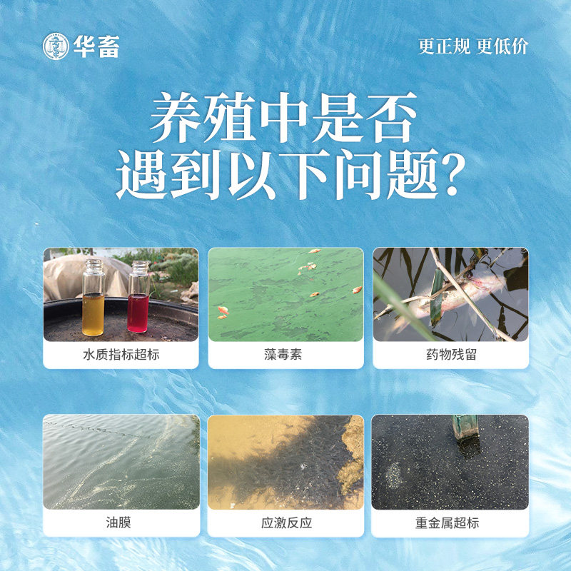 碧水安水产养殖有机酸果酸解毒剂解毒调水净S水除油膜降ph