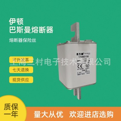 全新原装快速熔断器保险丝170M5194 170M5195 170M5196 170M5197