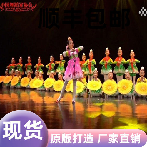 第十一届小荷风采党的阳光照我成长舞蹈服女童蓬蓬纱裙表演公主服