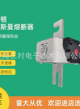 全新原装快速熔断器保险丝170M6760 170M6761 170M6762 170M6763