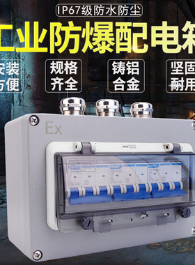工业防爆空开防尘断路器380V开关3PE三相C63A防水明暗装防爆配电