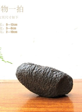 原石天然戈壁奇石泥石风凌石整体随形摆件造景自然原生态文玩收藏