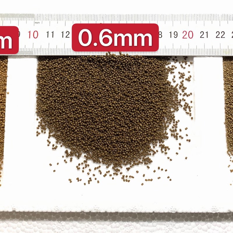 原生鱼观赏鱼饲料小型鱼斗鱼普叉国斗无纹蓝专用小颗粒鱼食包邮