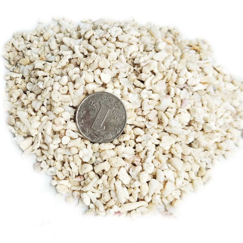 天然鱼缸底砂贝壳砂三湖砂海沙菲律宾沙鱼缸造景装饰慈鲷寄居蟹沙