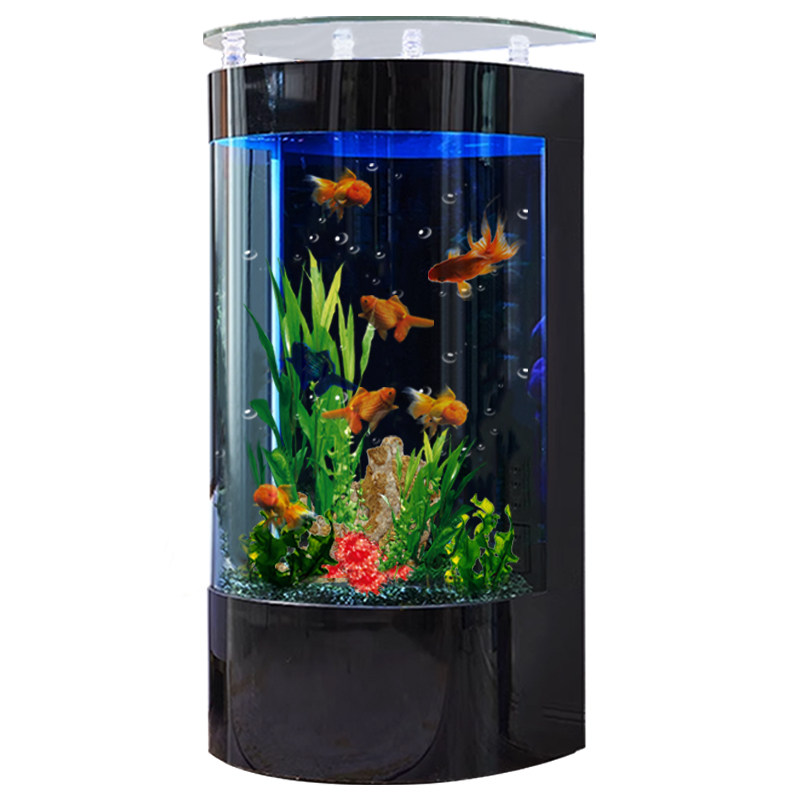 2023新款半圆鱼缸客厅生态自循环免换水电视柜旁落地中小型水族箱