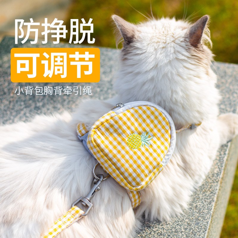 狗狗牵引绳带背包宠物胸背带自背包外出便携包小型犬小狗用品大全