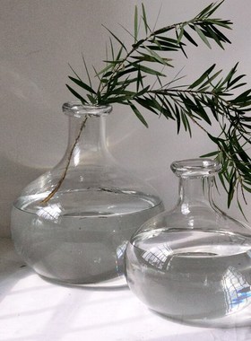 OOOOH简约圆形大肚瓶吊钟马醉木插枝插花水培透明玻璃花瓶