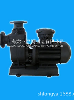 上海销售250ZWL420-20PB自吸泵电机 直连式自吸泵