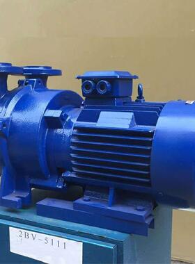 供应真空泵2BV5110循环水真空泵微型真空泵
