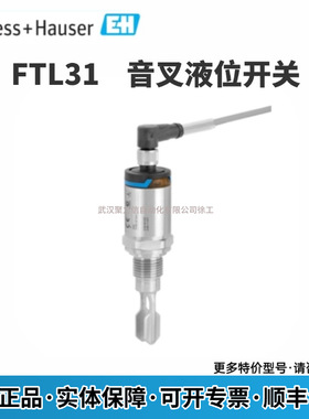 E+H 音叉液位开关FTL31-AA4U3BAWBJ