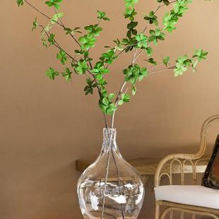 透明玻璃摆件大肚花瓶客厅落地圆肚小口径插花水养马醉木水培新款