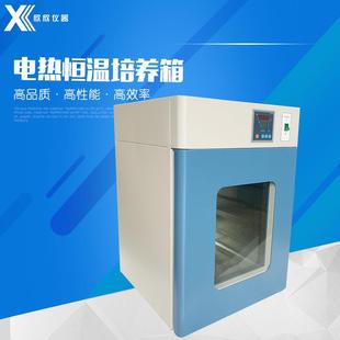 500电热恒温培养箱 DHP
