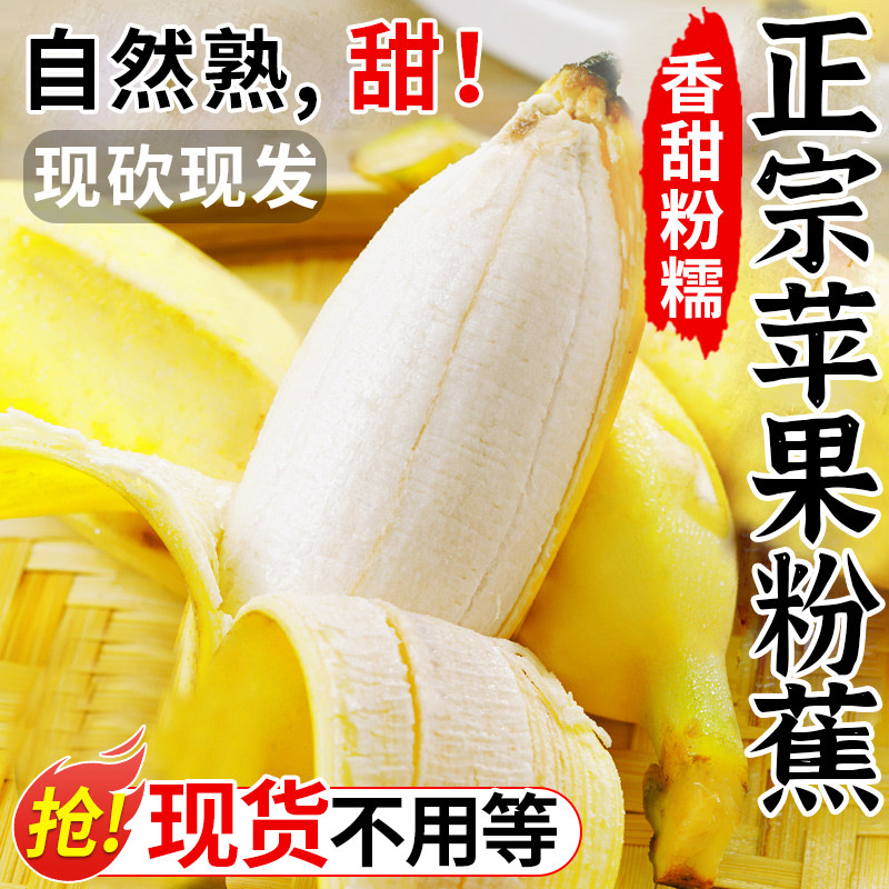正宗苹果蕉banana香蕉水果香甜苹果粉蕉自然熟当季小米芭蕉果粉蕉,水产肉类/新鲜蔬果/熟食,其它,淘宝优惠券,粉丝福利购,淘宝优惠卷