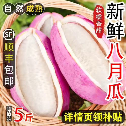 新鲜八月瓜/八月炸5斤装顺丰
